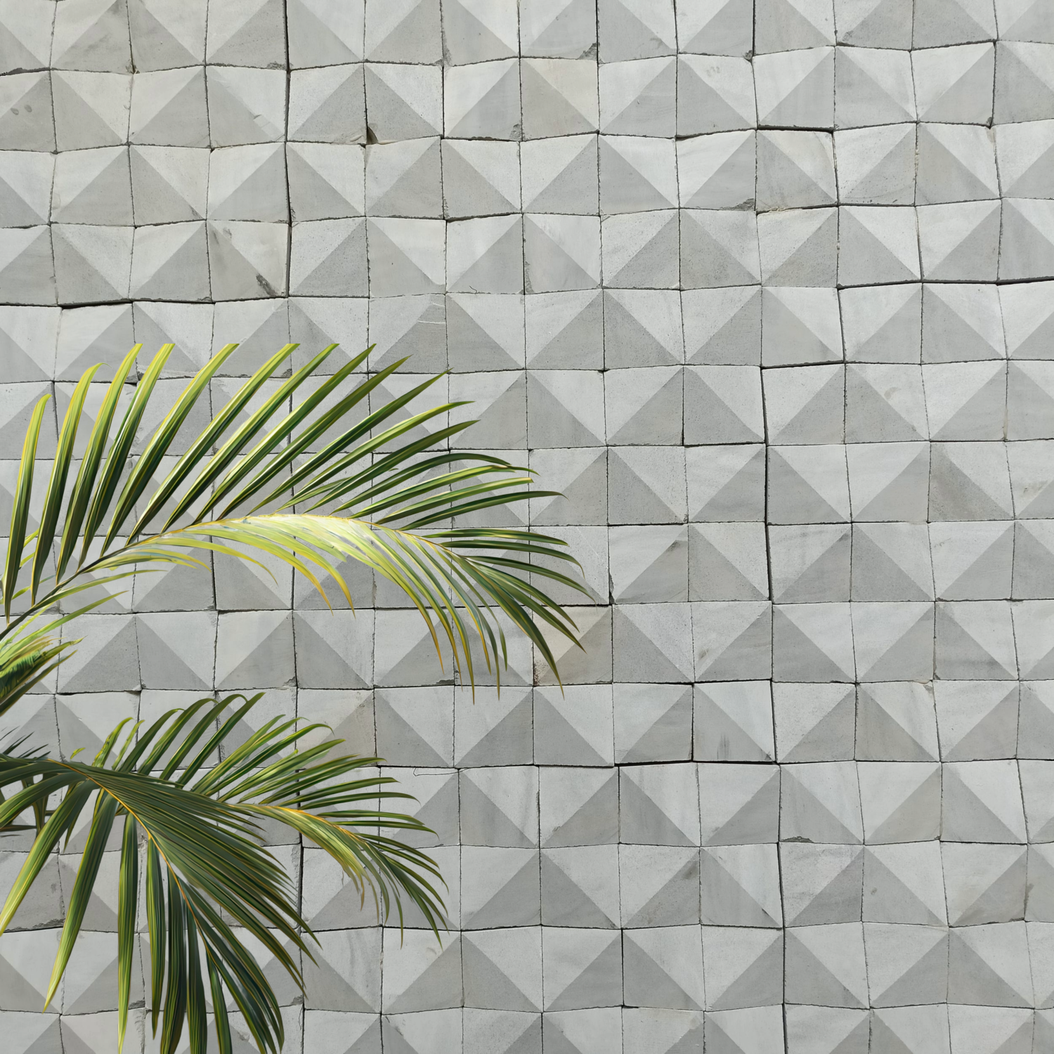 Geometric patterned wall with green leaves in the foreground